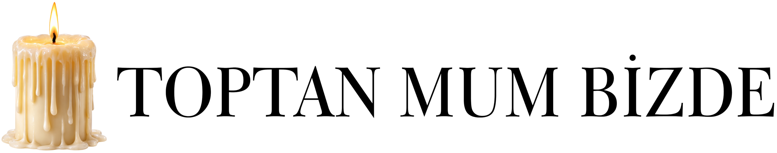 LOGO SİYAH Anasayfa